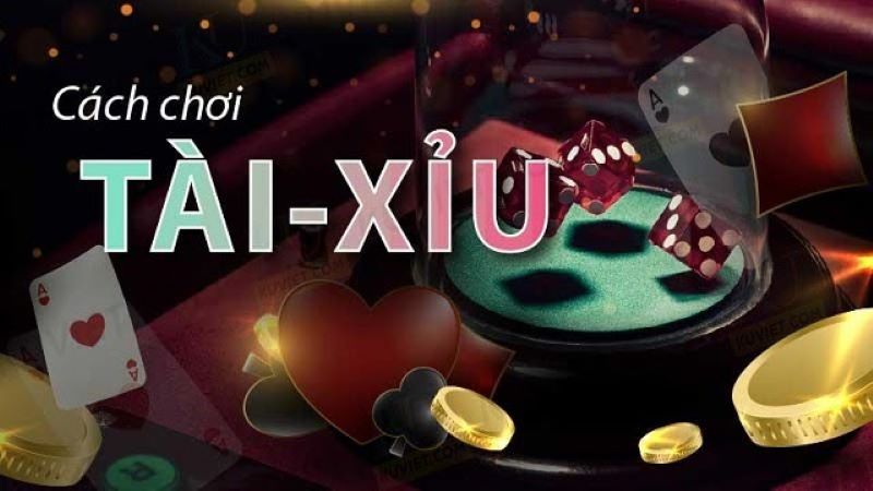 Cược Tài Xỉu ZBET: Hướng Dẫn Chi Tiết Từ A-Z Cho Người Mới